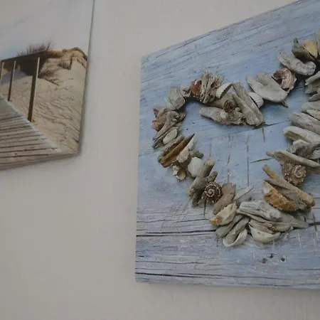 Windfluechter Nordstrand Prerow